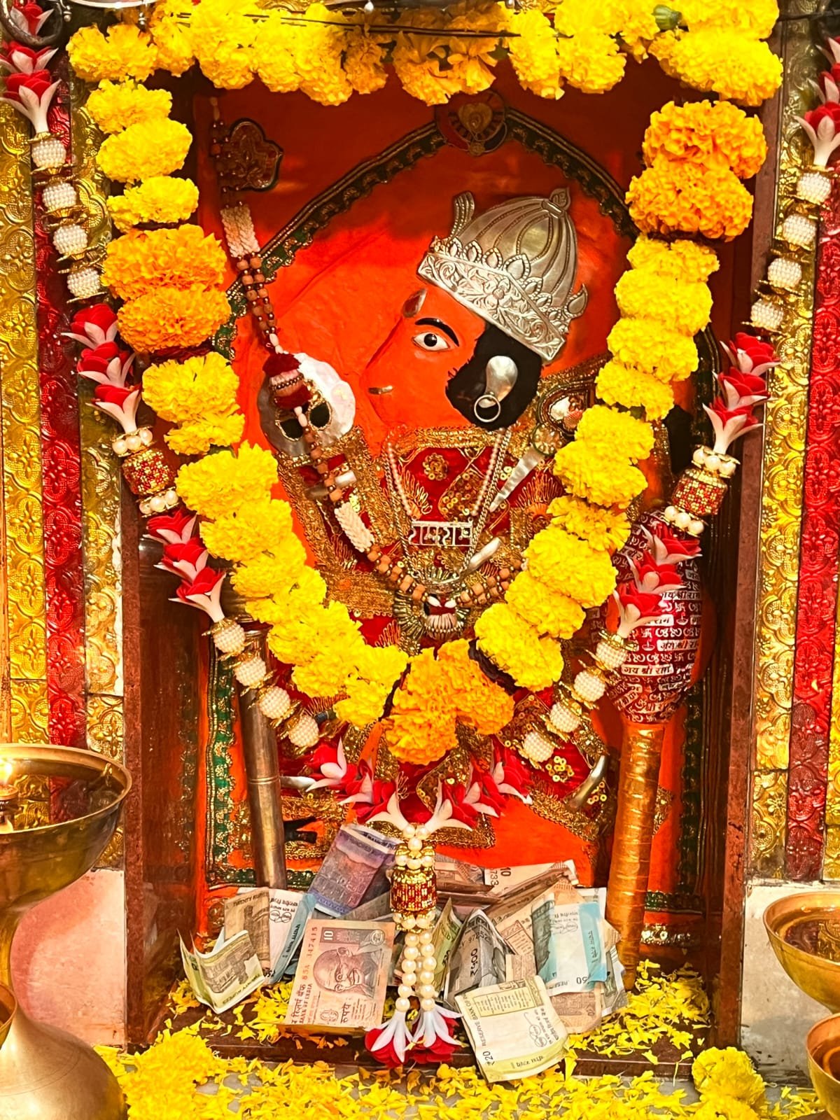 best astrologer in sikar